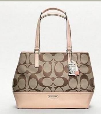 discount coach bags - 19354 apricot